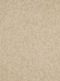 Westex Carpet Ultima Twist Major Black Westex Carpet Ultima Twist Major Black