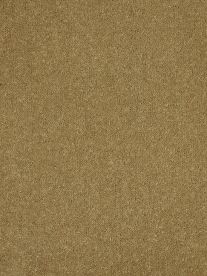 Westex Carpet Ultima Twist Ultima Dogwood