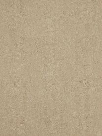 Westex Carpet Ultima Twist Ultima Dogwood