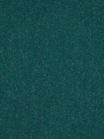 Westex Carpet Ultima Twist Ultima Honey