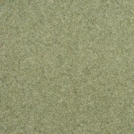 Penthouse Carpets Esprit Nouveau Cyrus 50oz