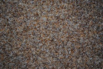 Heckmondwike Wellington Velour Carpet Lincoln Pebble Heckmondwike Wellington Velour Carpet Lincoln Pebble