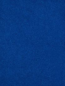 Westex Carpet Westend Velvet Prestige Amber Westex Carpet Westend Velvet Prestige Amber