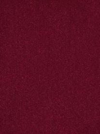 Westex Carpet Westend Velvet Exquisite Nougat Westex Carpet Westend Velvet Exquisite Nougat