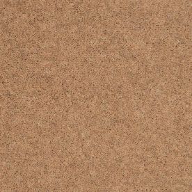 Penthouse Carpets Pentwist Naturals Calico 50oz Penthouse Carpets Pentwist Naturals Calico 50oz