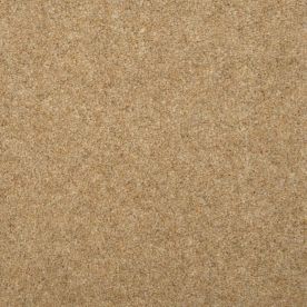 Penthouse Carpets Esprit Nouveau Portia 75oz